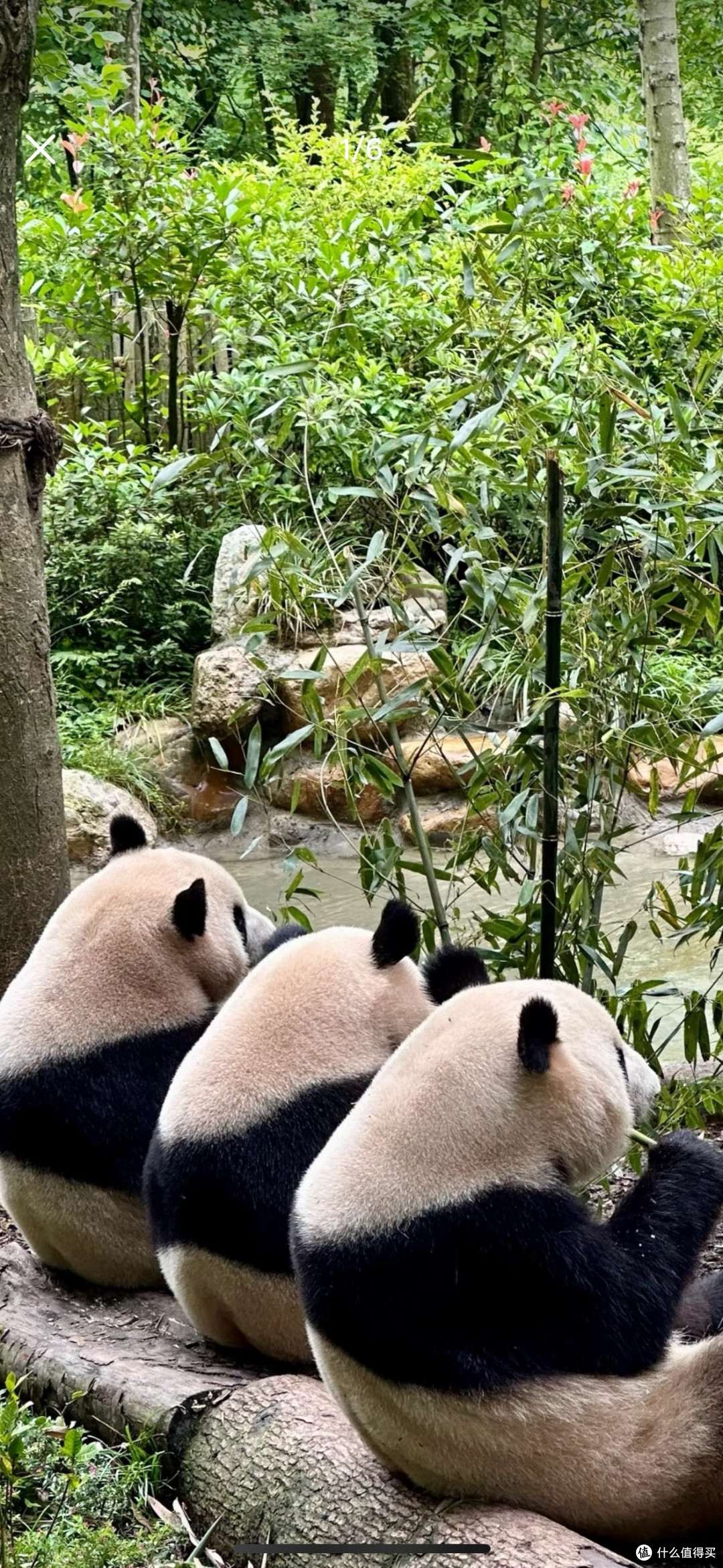 十一黄金周小众秘境推荐