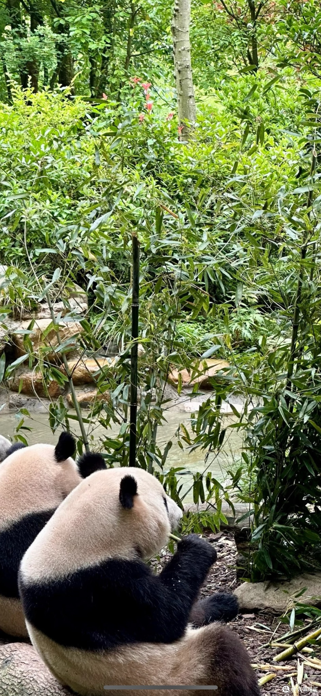 十一黄金周小众秘境推荐