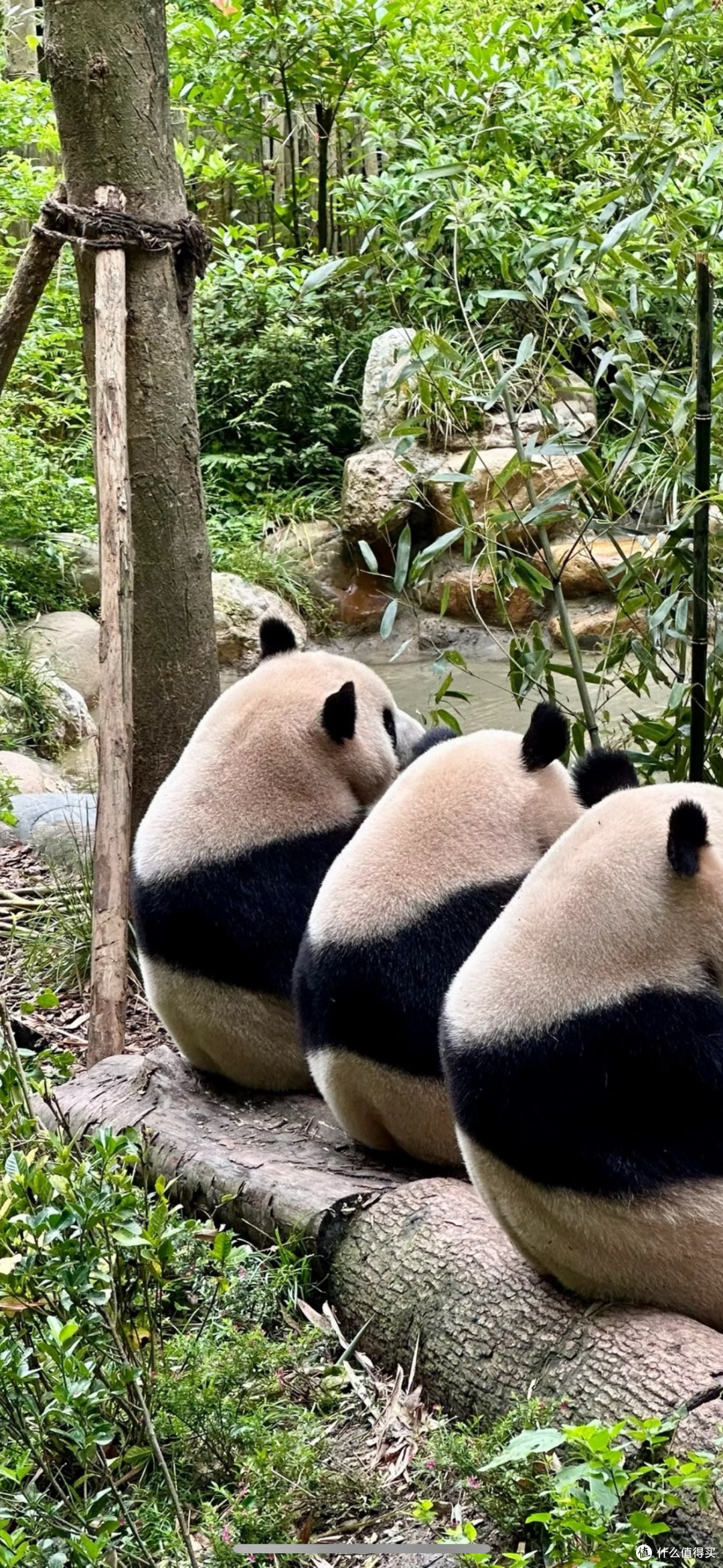 十一黄金周小众秘境推荐