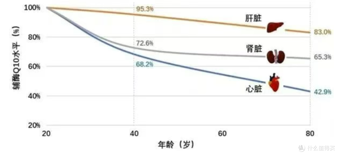 好好爱自己,才是对生活最深的热情
