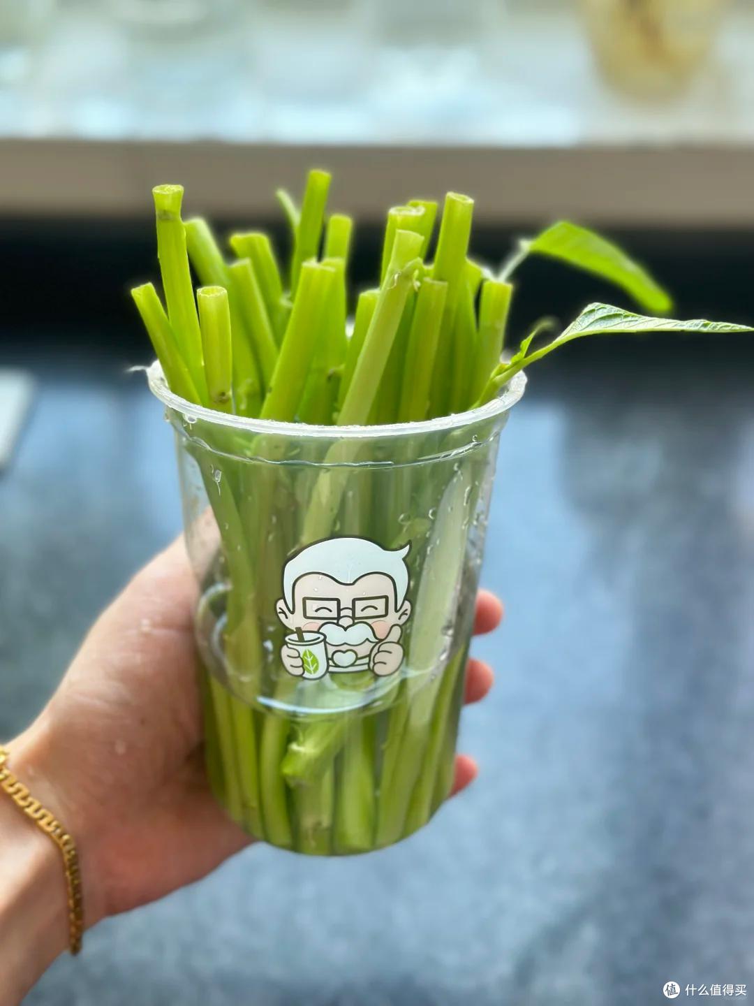 成精了！楼顶阿姨的“空心菜”，长成菜瀑布：全楼的邻居有口福了