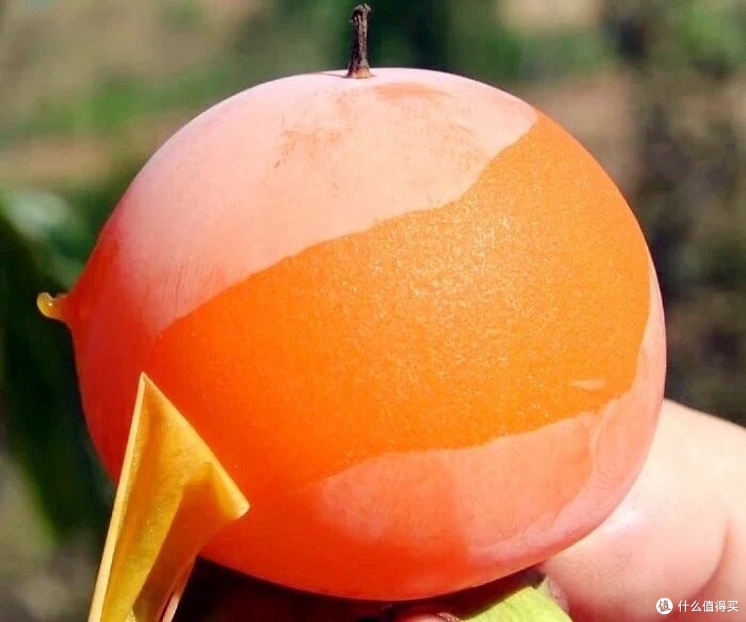 秋天的第一口幸福:拼夕夕两样当季水果,便宜又好吃