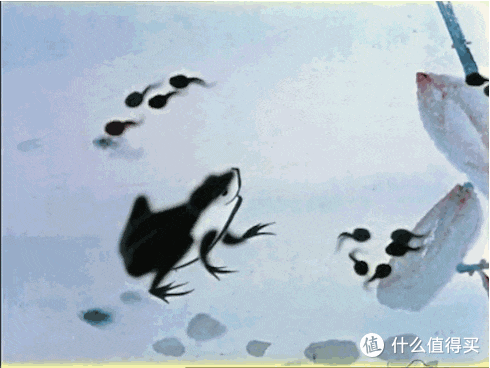 他用10年“打捞”半部中国动画史，美影厂经典角色冷门佳作全在这