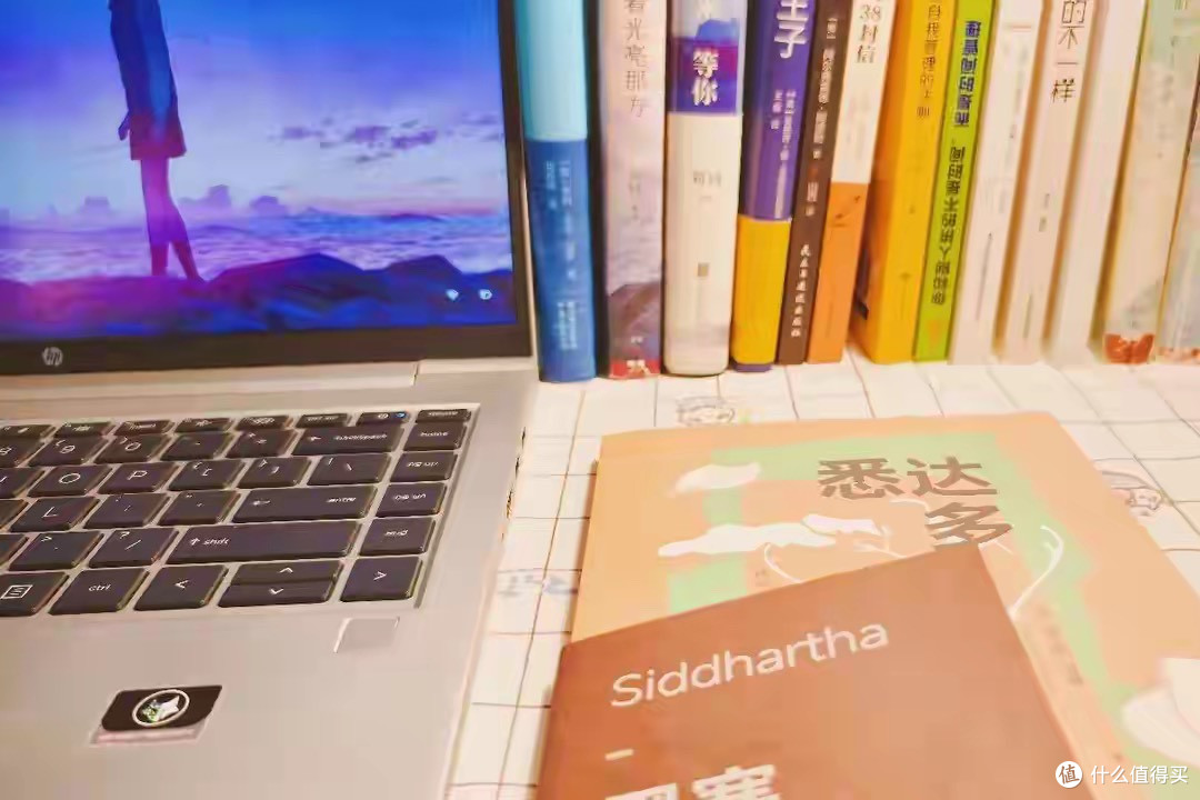 一定要大量读书：你可以学会任何东西