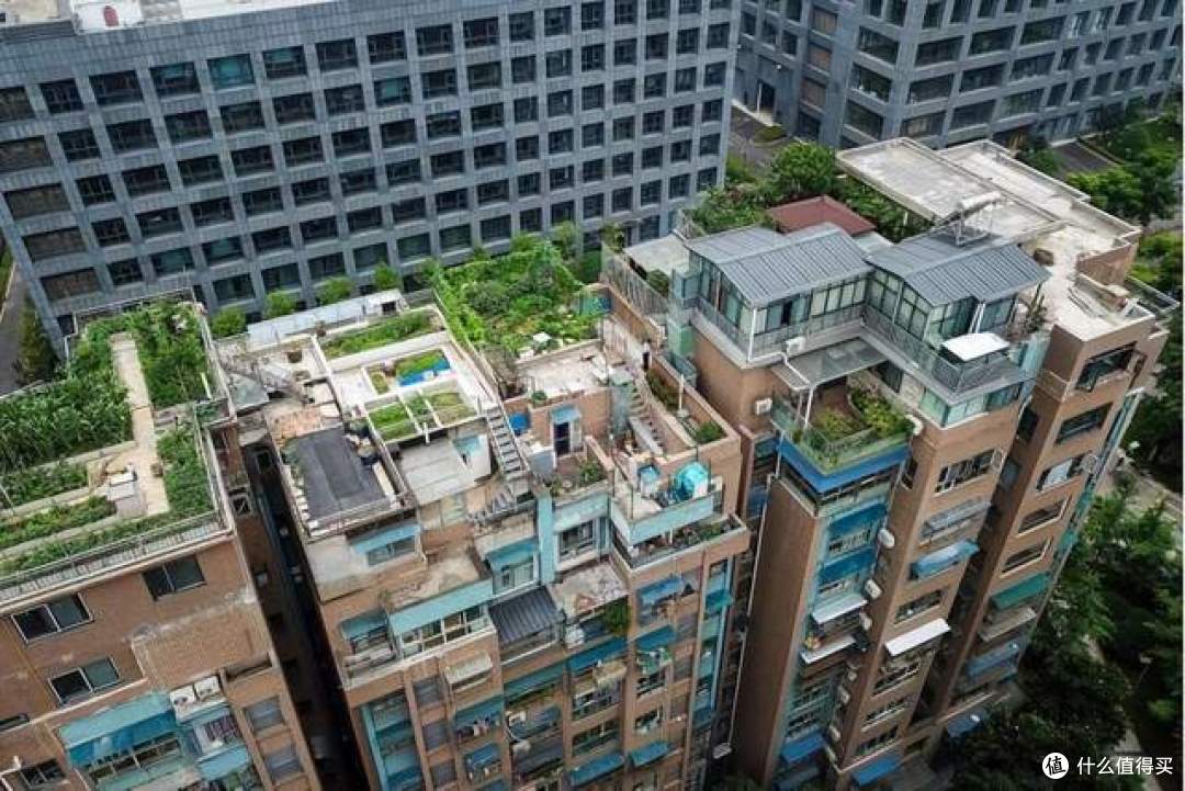 我卖掉顶楼，换成“1楼带院子”的房子，才发现二者天差地别！