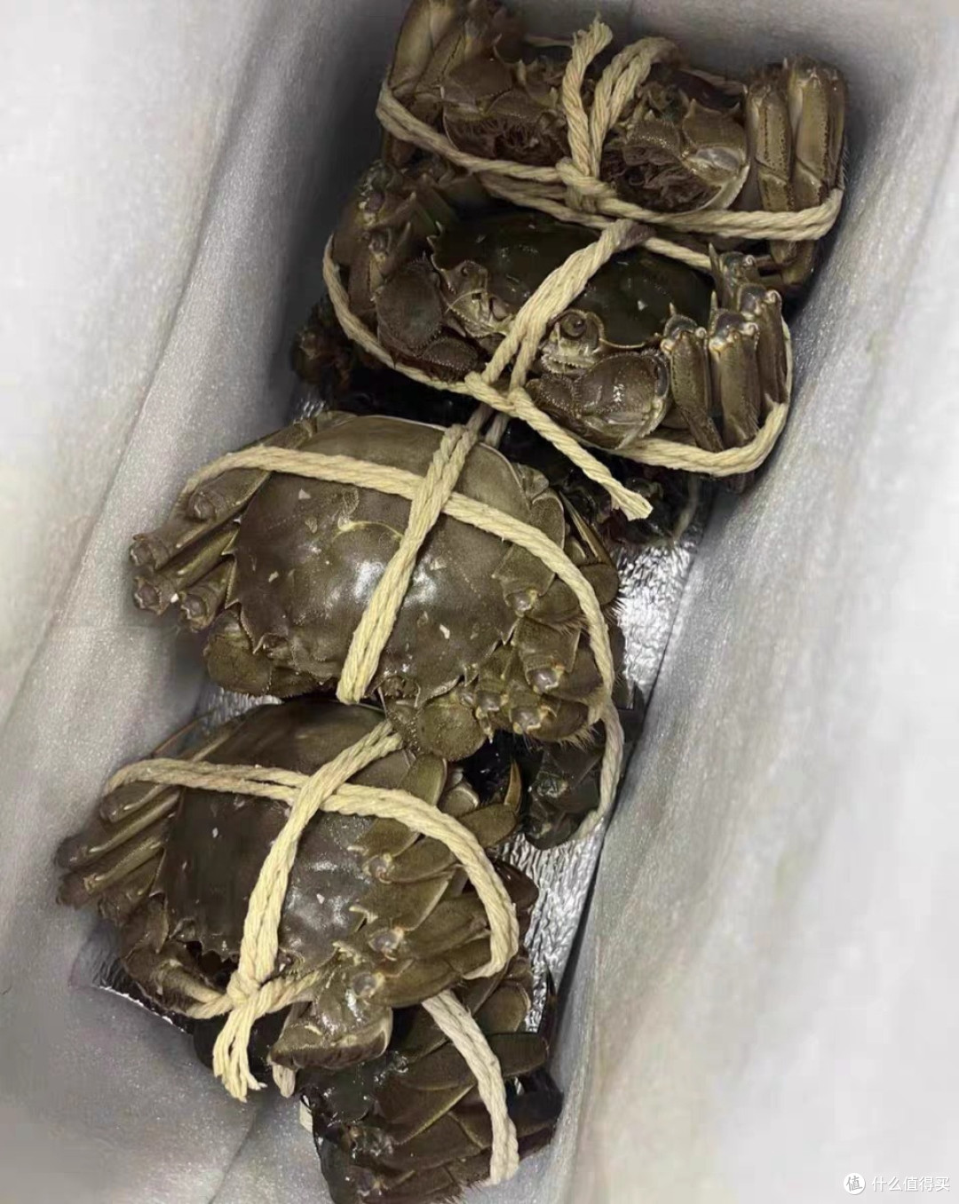 阳澄湖大闸蟹的简单烹饪与搭配
