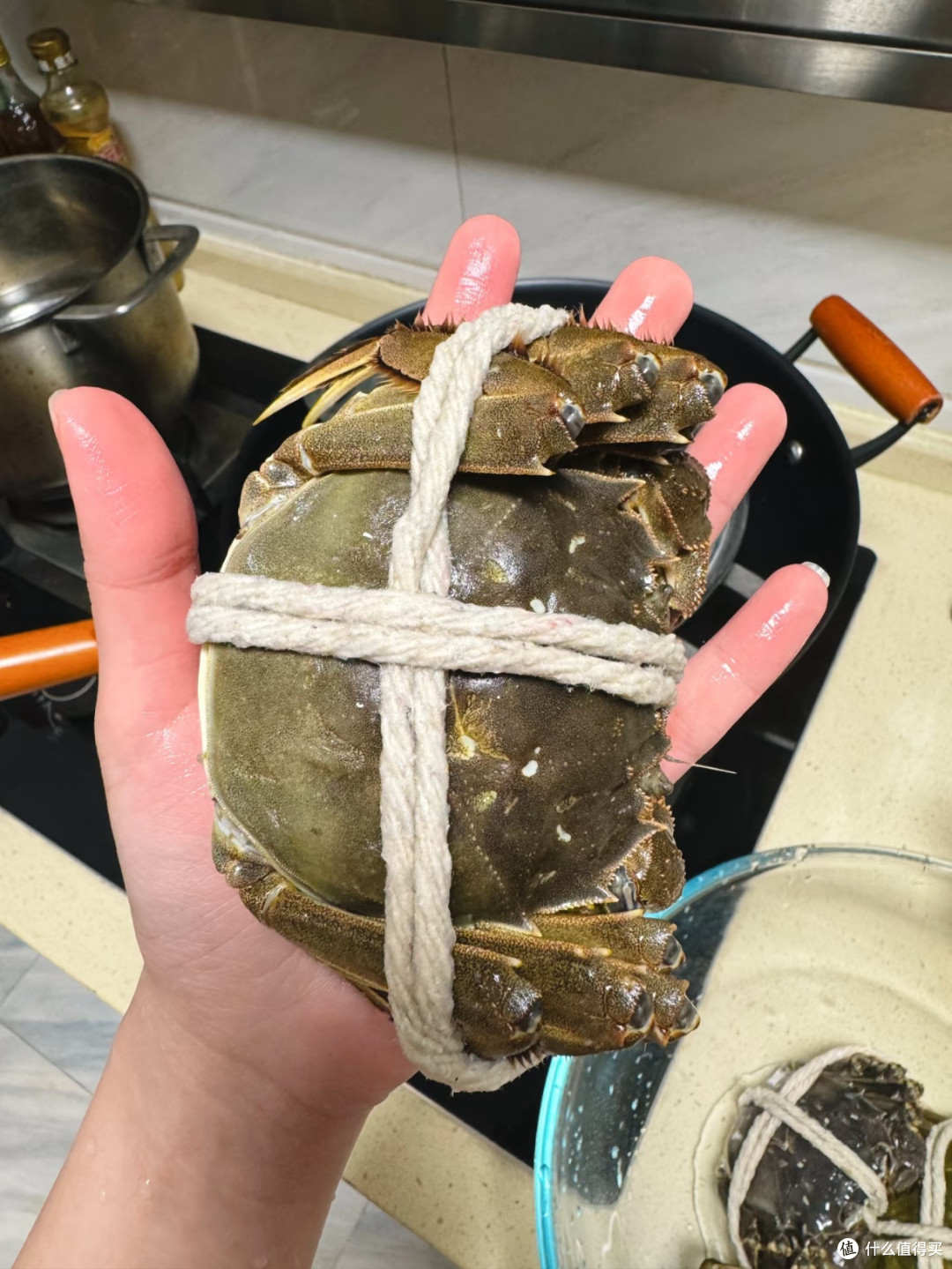 咬到爆膏的快乐！今年第一口大闸蟹
