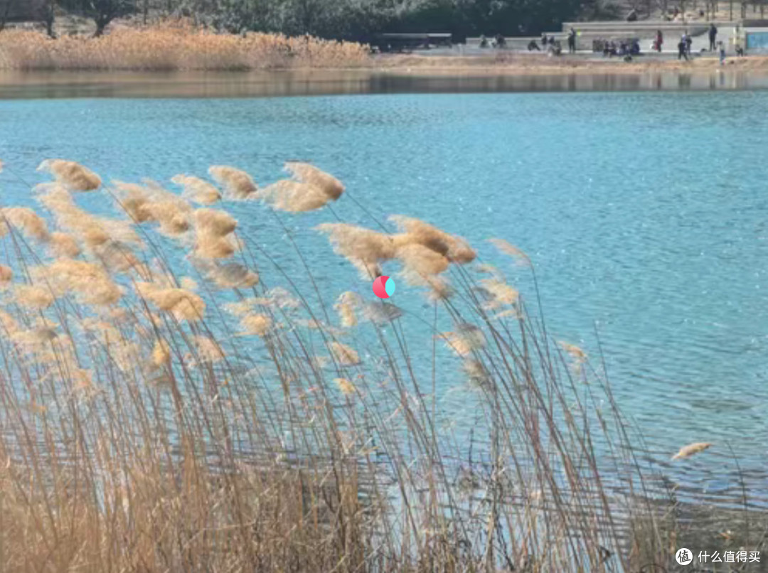 公园20分钟效应:藏在都市里的自然疗愈密码
