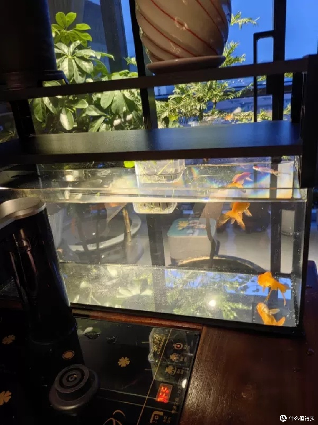 壁挂式三合一过滤器:小鱼缸的省心选择