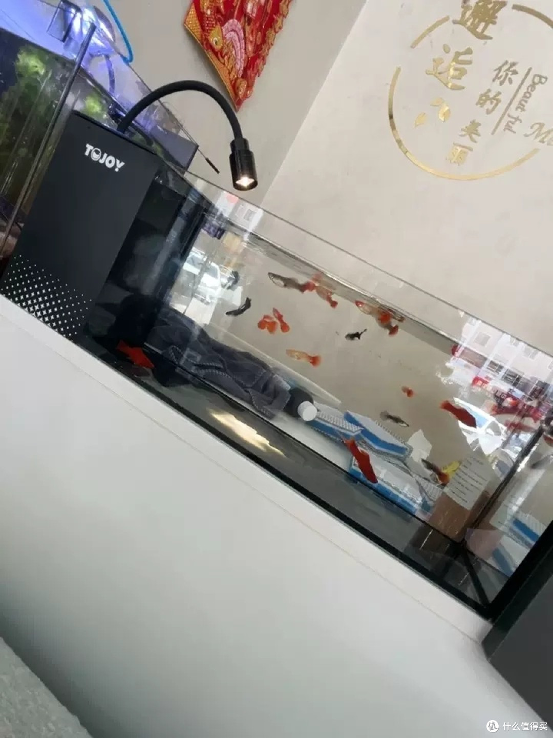 壁挂式三合一过滤器:小鱼缸的理想选择