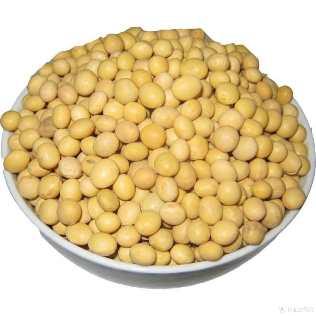 黄豆一号和黄豆二号的区别，快来看看！