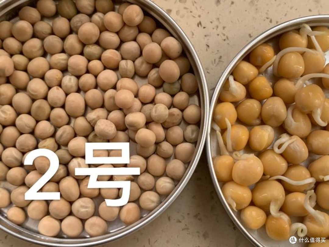 黄豆一号和黄豆二号的区别，快来看看！