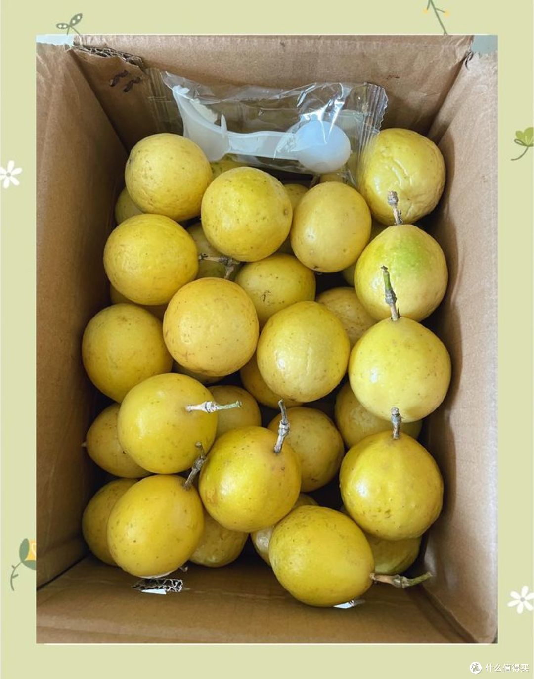 黄金果是什么水果？你真的吃过吗？_其他水果_什么值得买