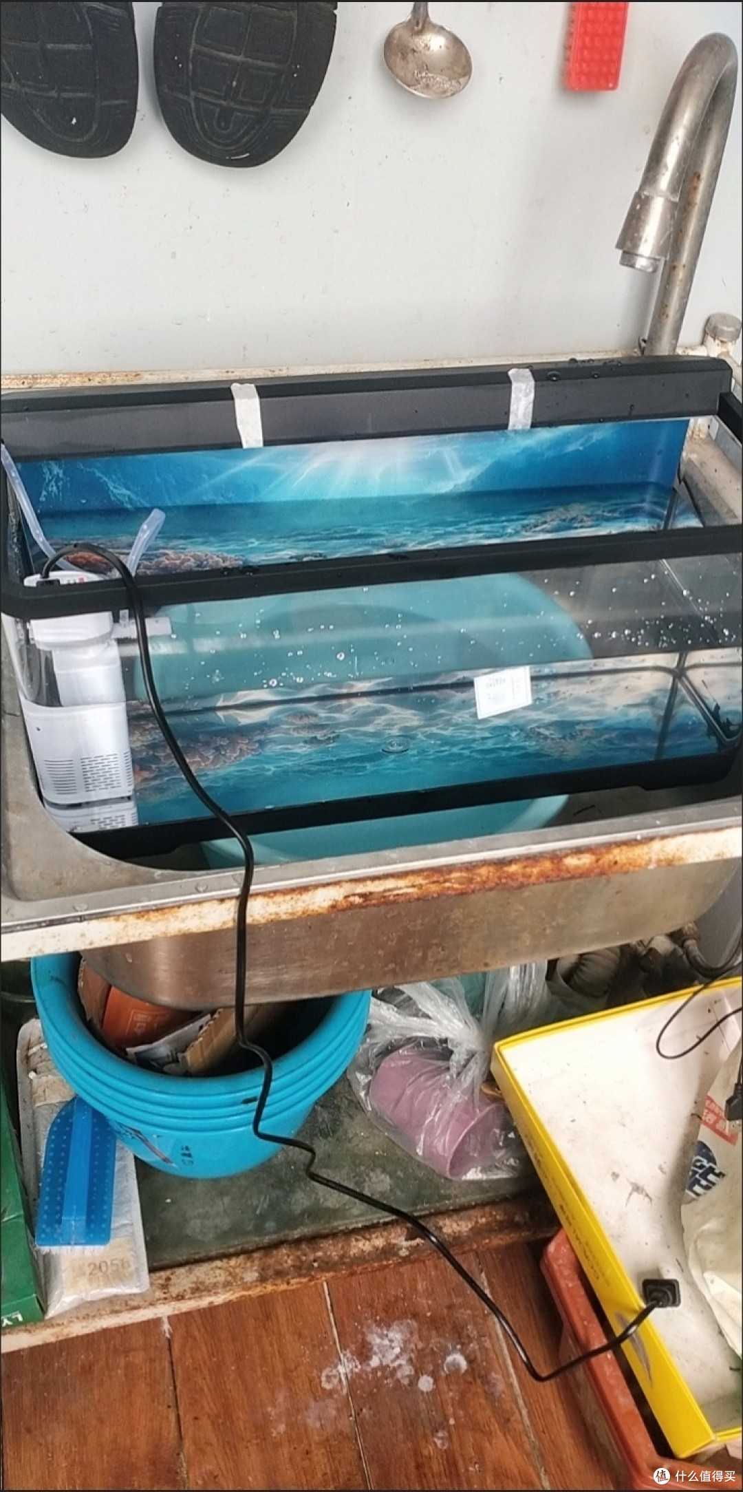 不设限鱼缸折腾乐实景,我家水族箱实景棒棒哒