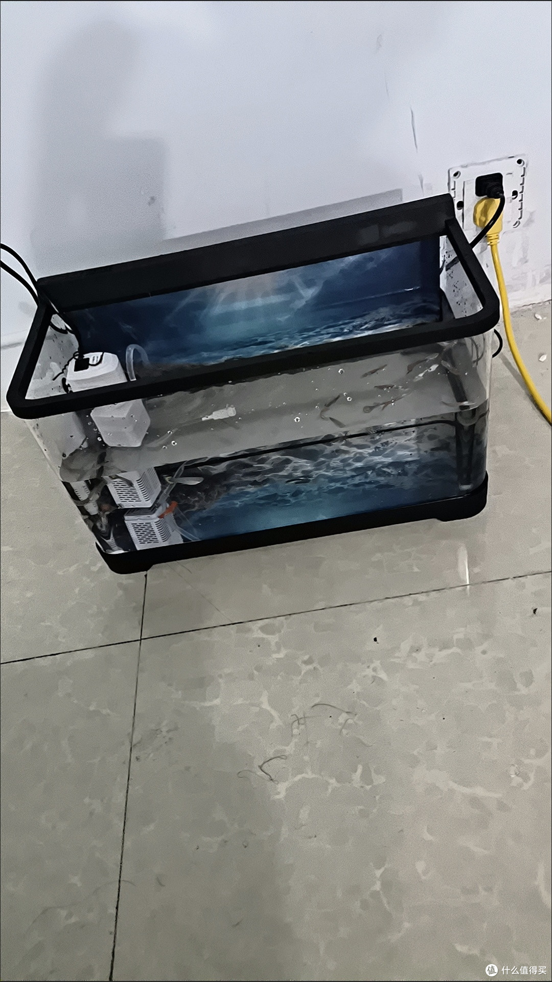 不设限鱼缸折腾乐实景,我家水族箱实景棒棒哒