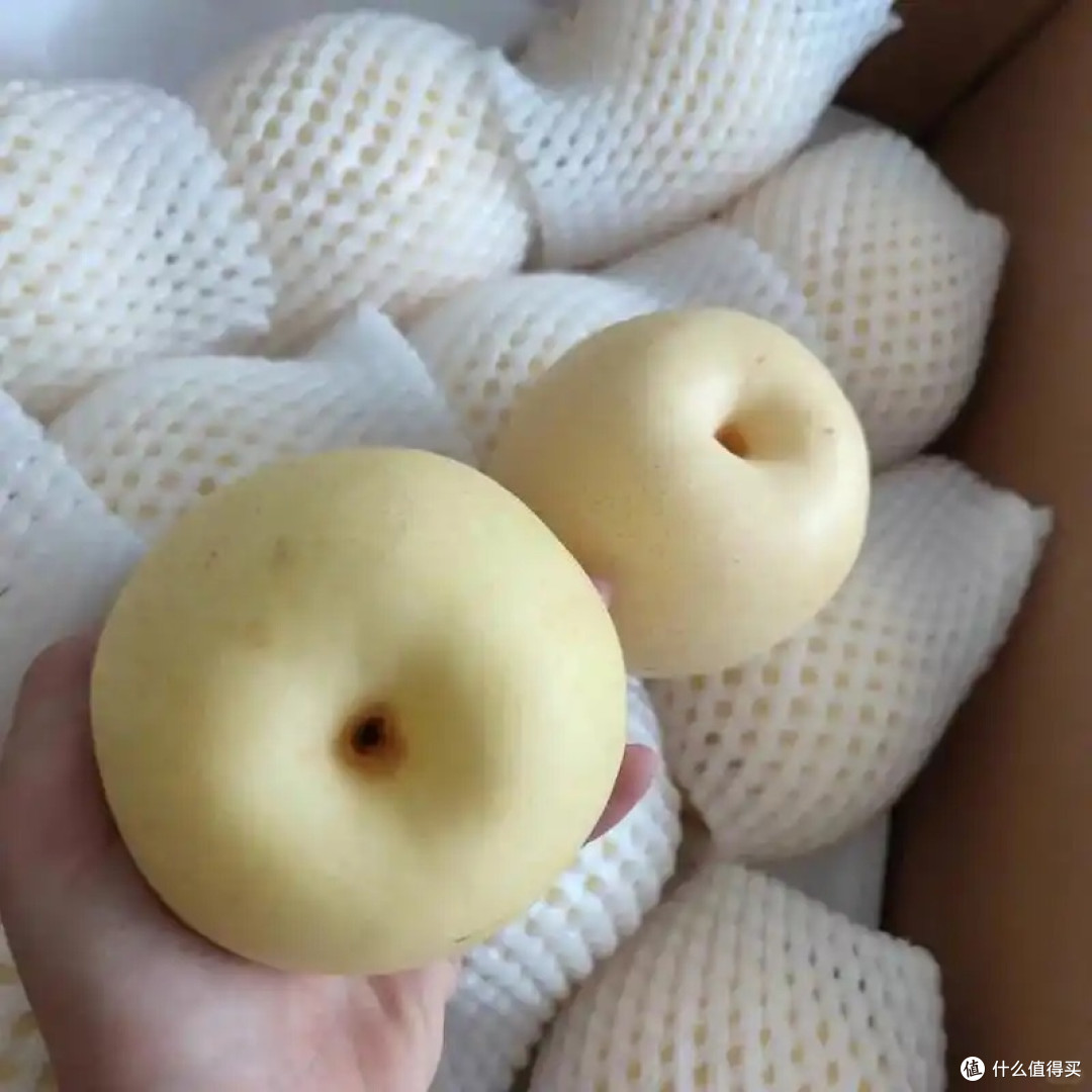秋天的“润”物细无声!这口梨子,生吃脆甜,煮水润喉,是神仙吧