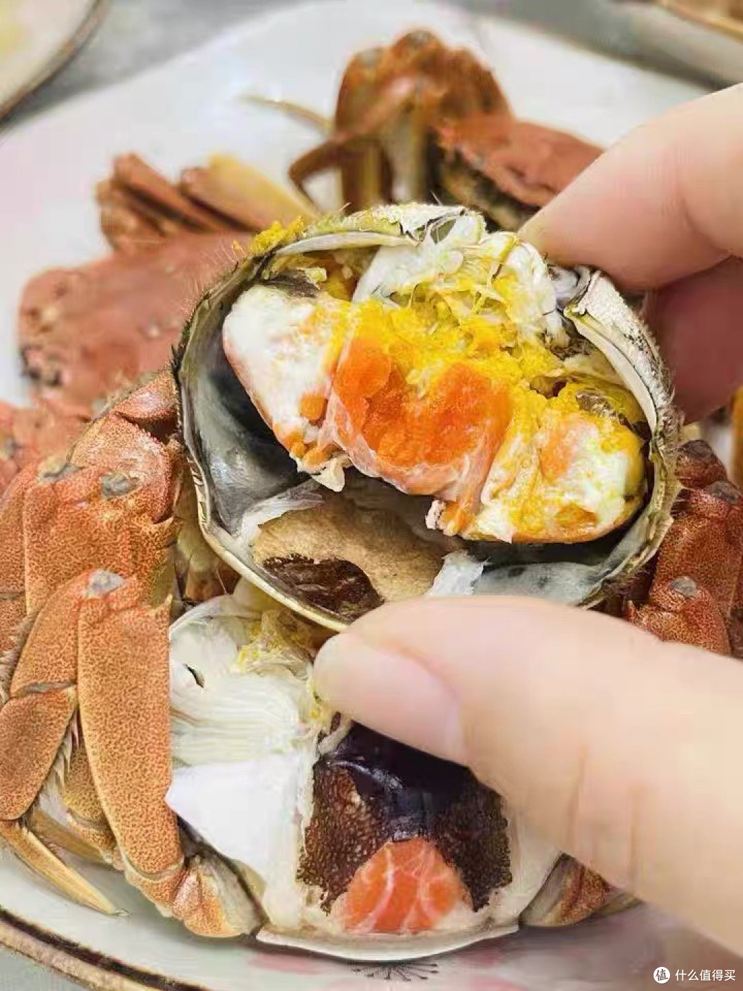 阳澄大闸蟹礼券提货指南