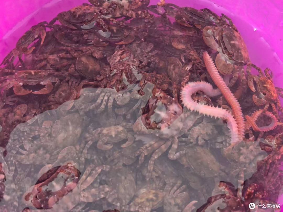 周末带娃带娃好去处——天津两天一晚攻略