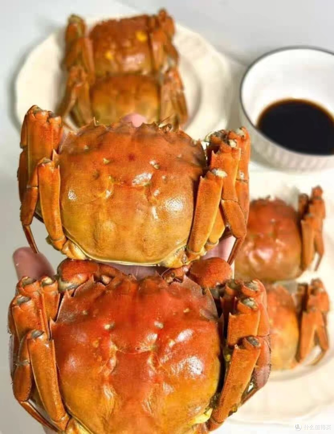 阳澄湖大闸蟹选购指南
