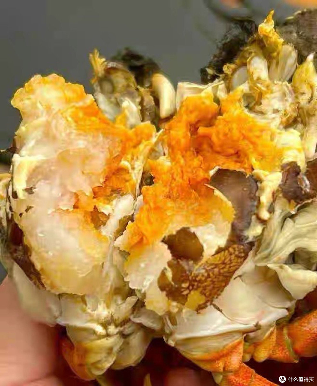 秋风起，阳澄湖大闸蟹的美味