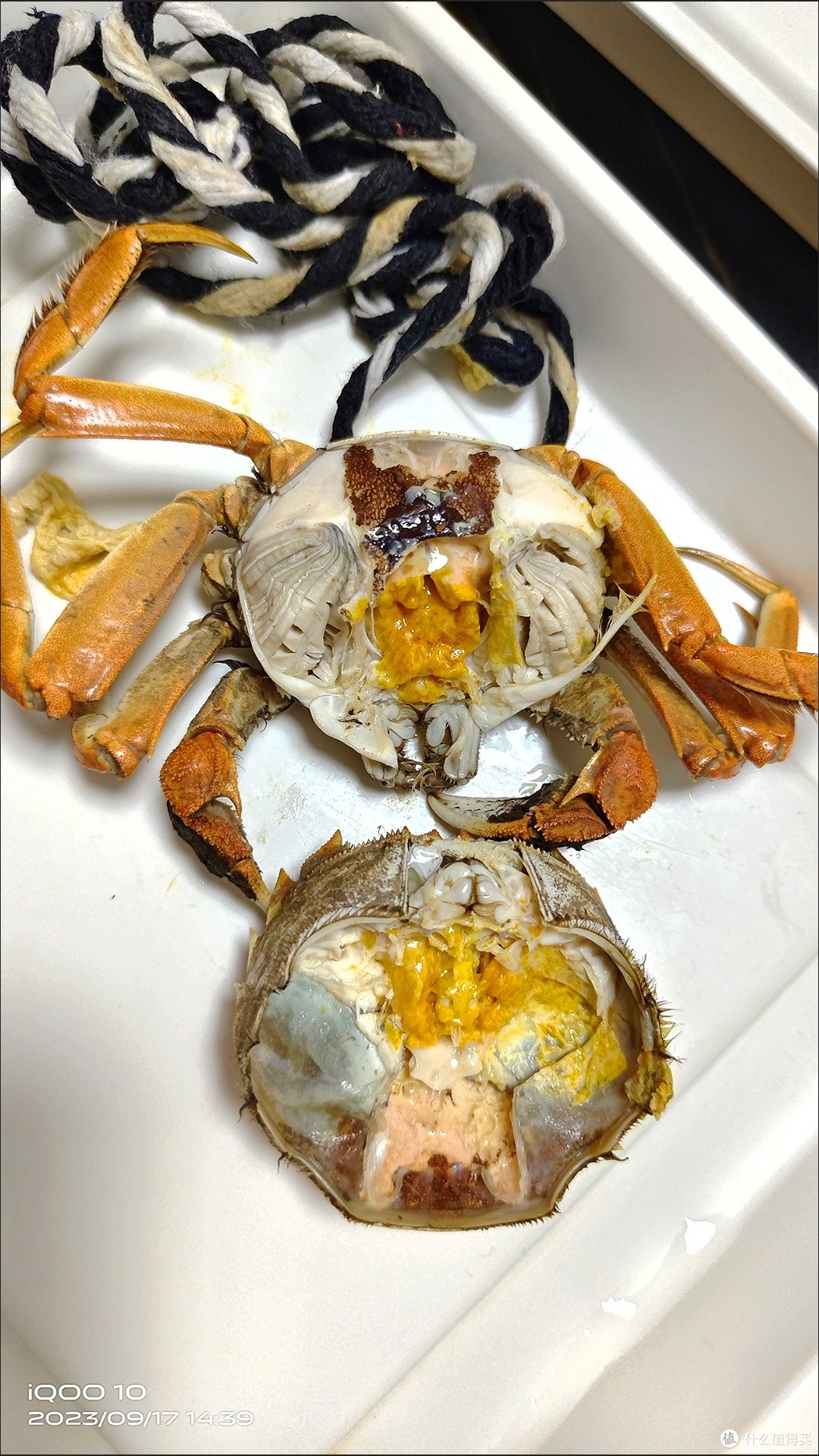 大闸蟹开湖啦，鲜香美味大闸蟹