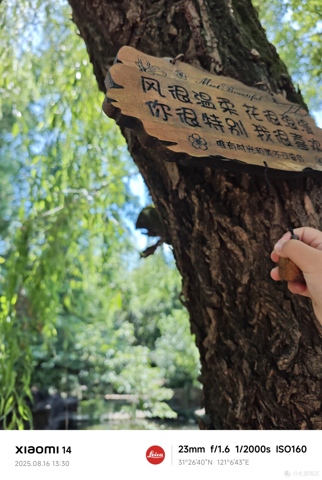 十一别挤热门古镇啦!来沙溪古镇开启“躺平式”狂欢