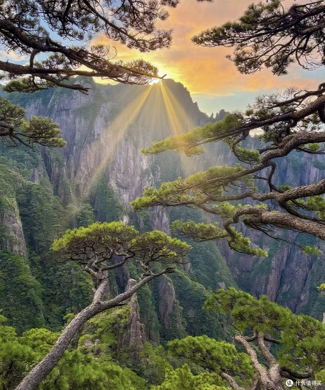 十一去黄山才发现,这地方居然藏着这么多浪漫玩法