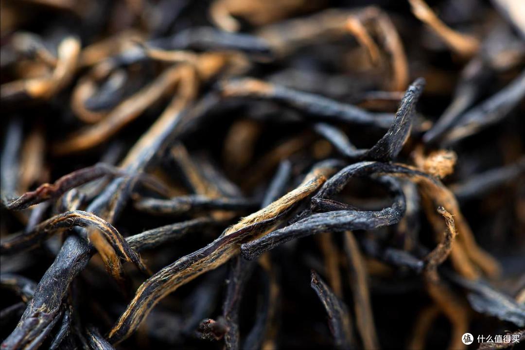 巴拿马博览会拿奖的茶,你喝过几种