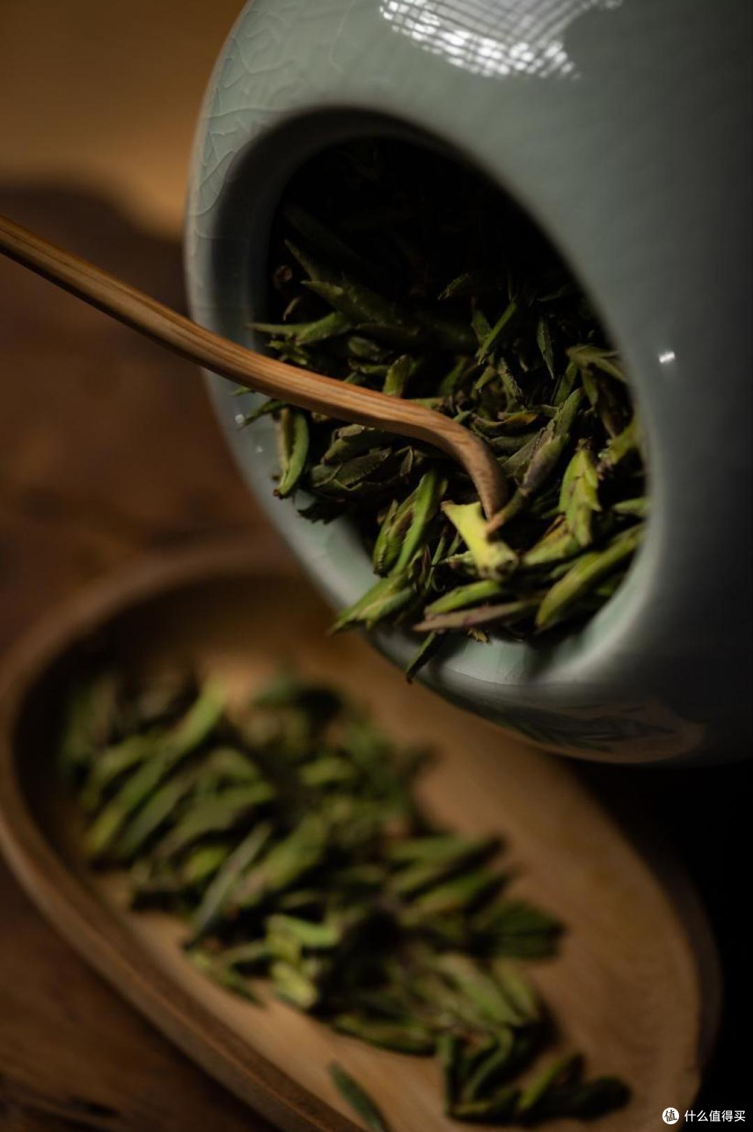 巴拿马博览会拿奖的茶,你喝过几种