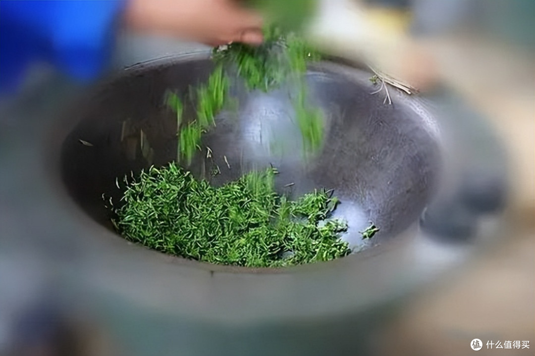 巴拿马博览会拿奖的茶,你喝过几种