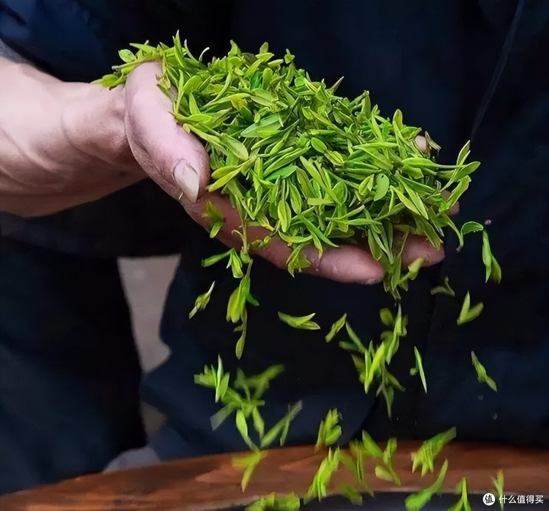 巴拿马博览会拿奖的茶,你喝过几种