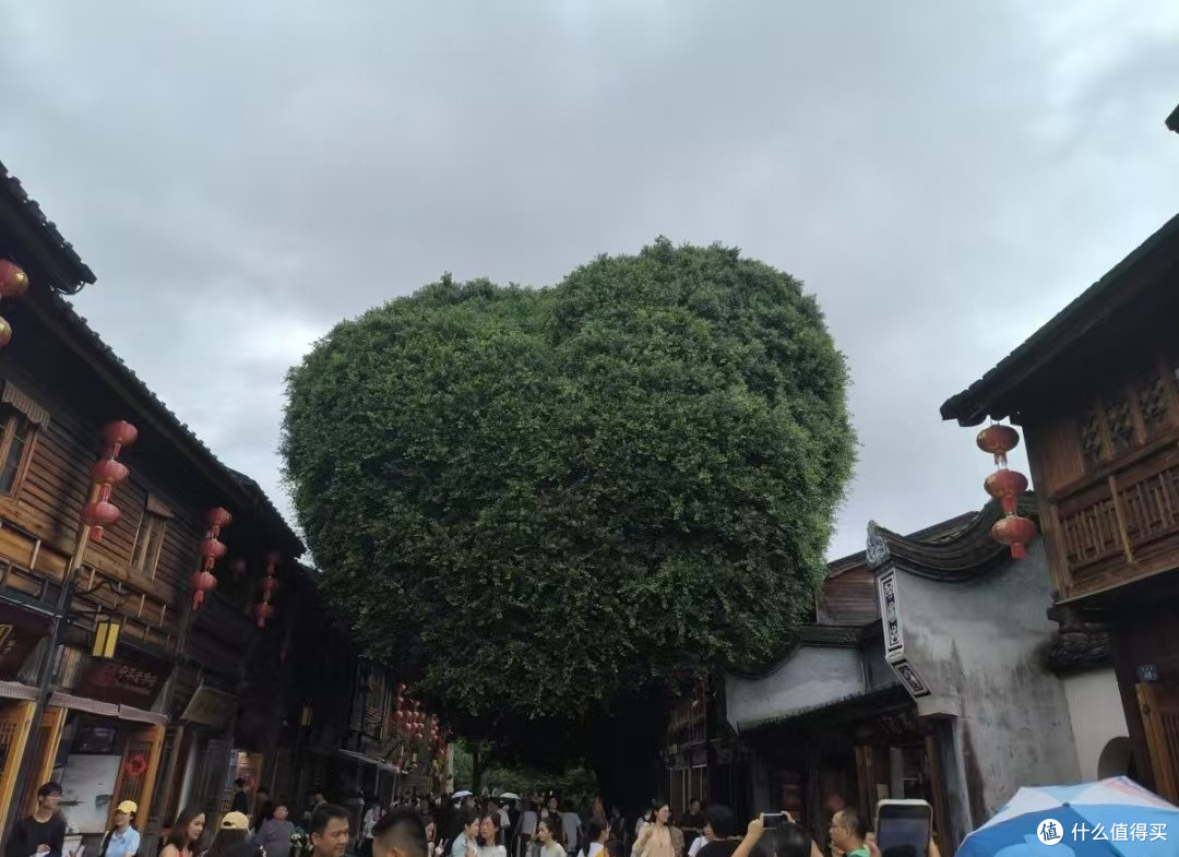 清光绪二年的肉燕味道你品尝过吗?