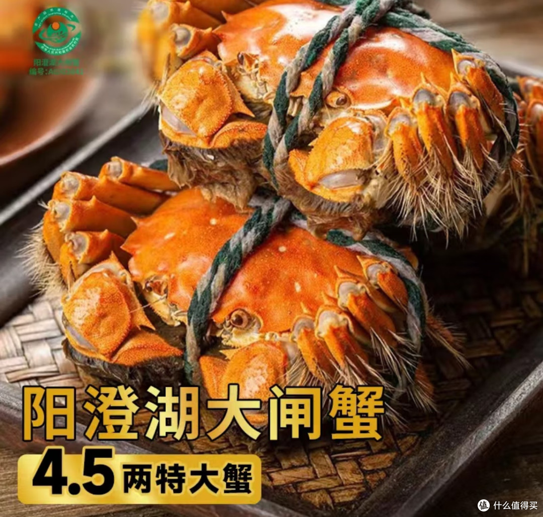 秋天吃蟹不踩坑!手把手教你挑蟹+品鉴,鲜到上头