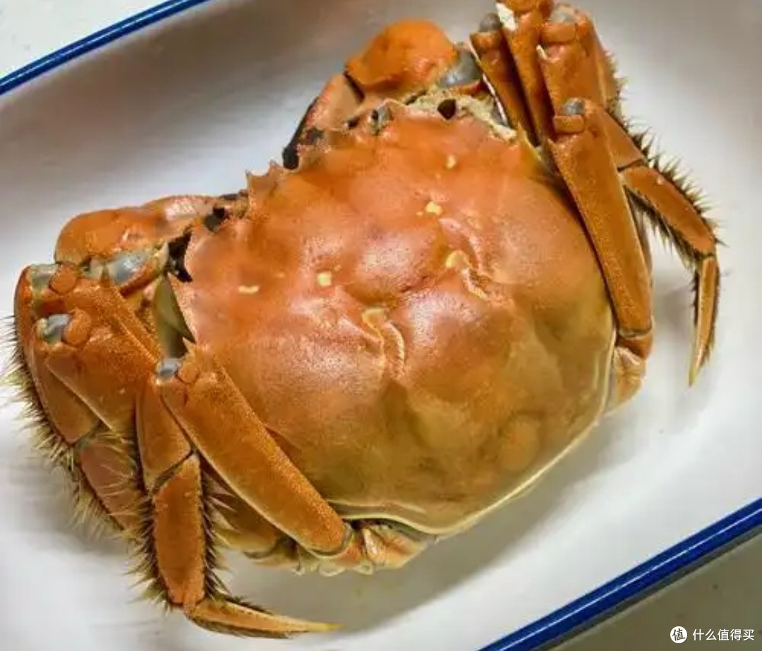 蟹季的开始与秋意