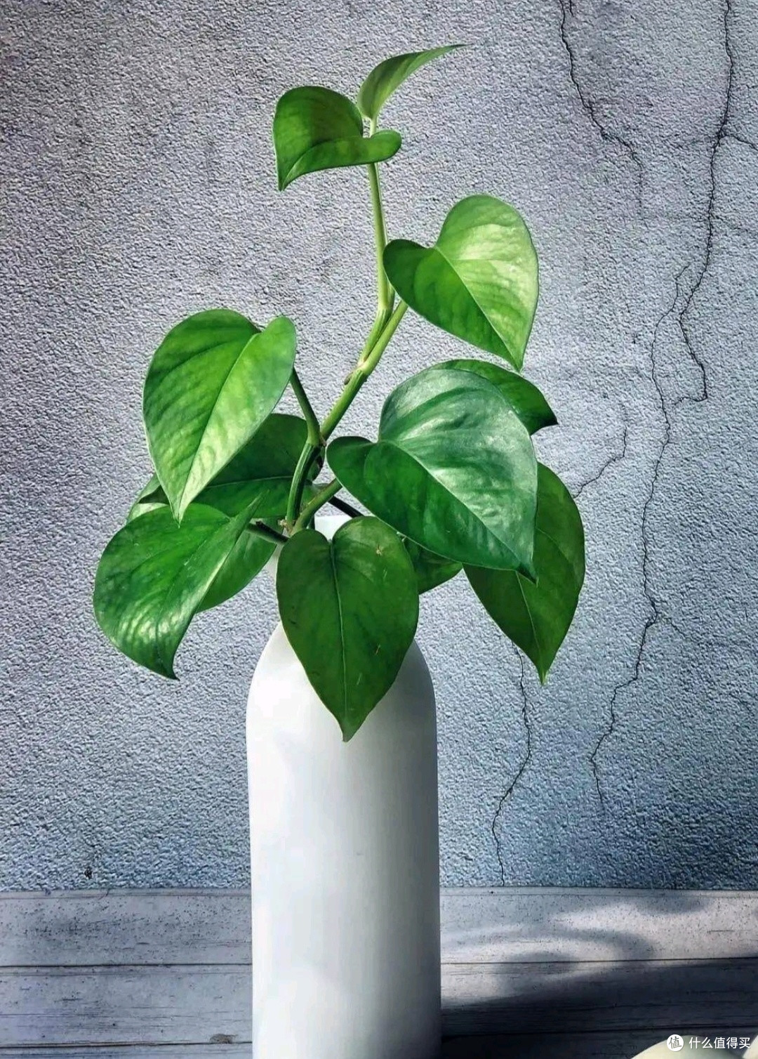 潜力作者成长记:分享你的写作历程,从灵感萌芽到作品完成的故事