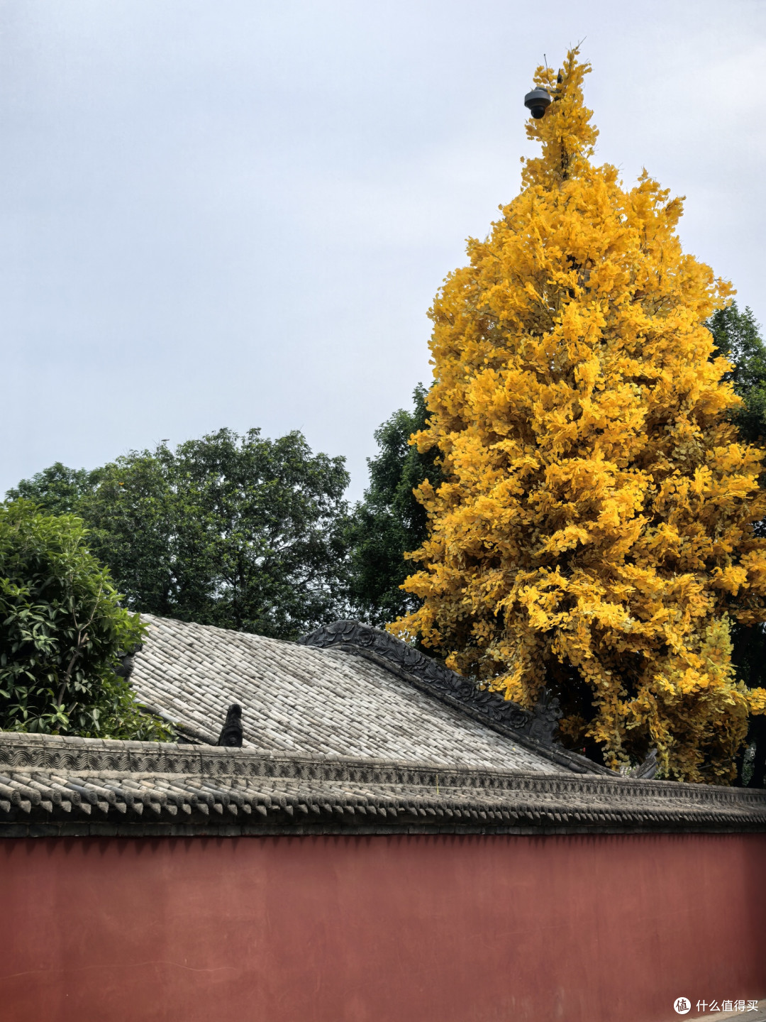 西安之旅 高家大院 洒金桥