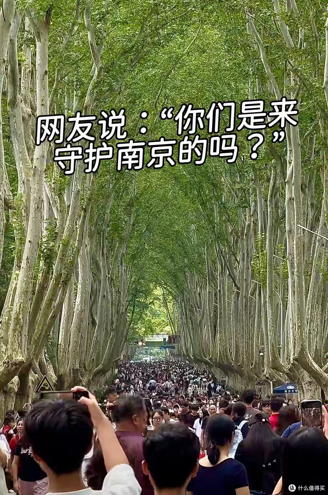 各大景区相继“沦陷”，新鲜数据出炉，网友：走了2亿人又来了3亿