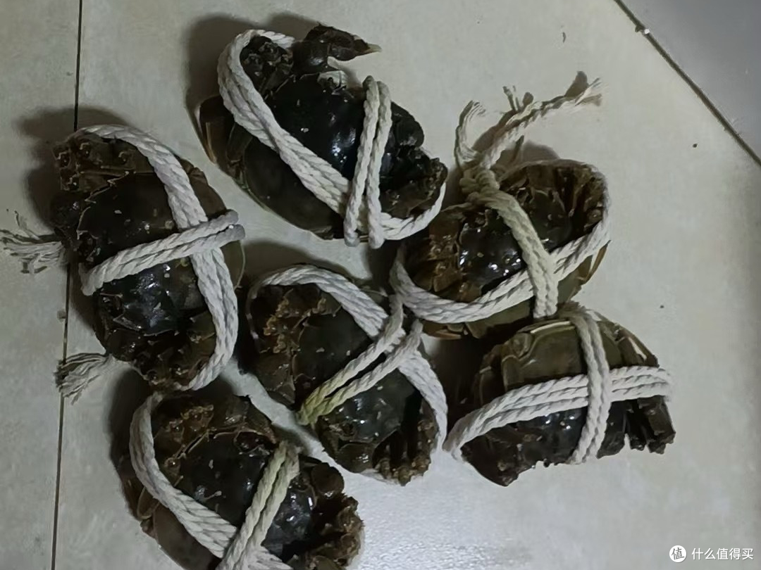 蟹肥秋浓,长假里的一份鲜活馈赠