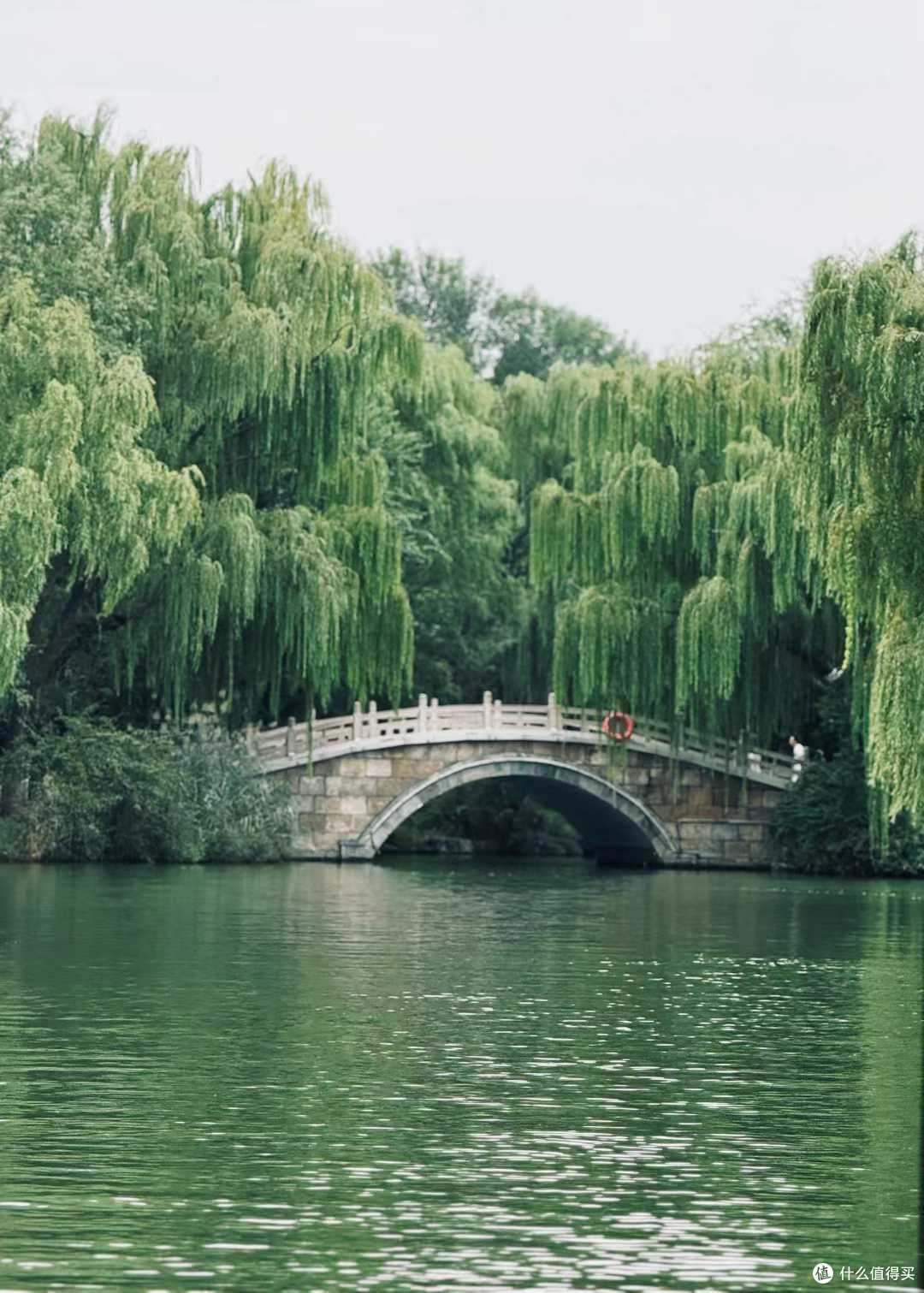 总要去一趟山东济南吧，去看看老舍笔下的一城山色半城湖