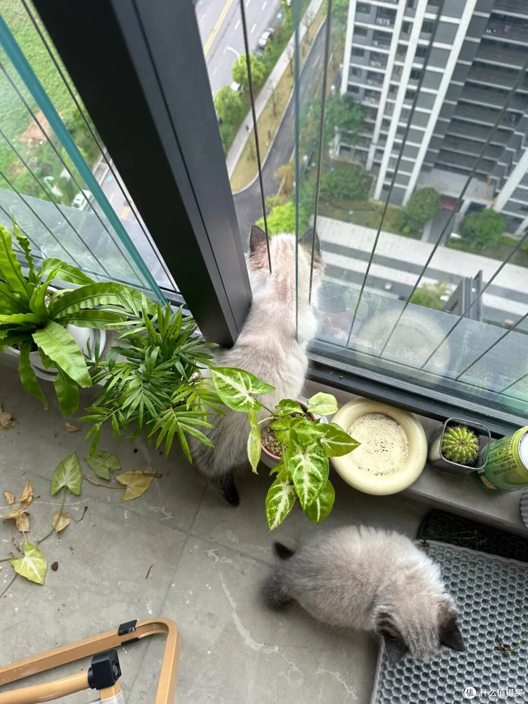 打脸了！这6个看似“已经过时”的装修设计，实则省钱又实用