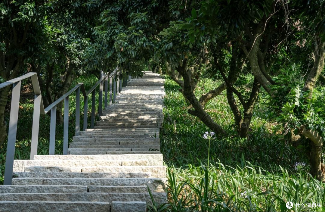 深圳科学公园的光明顶——观赏日落的绝佳地点