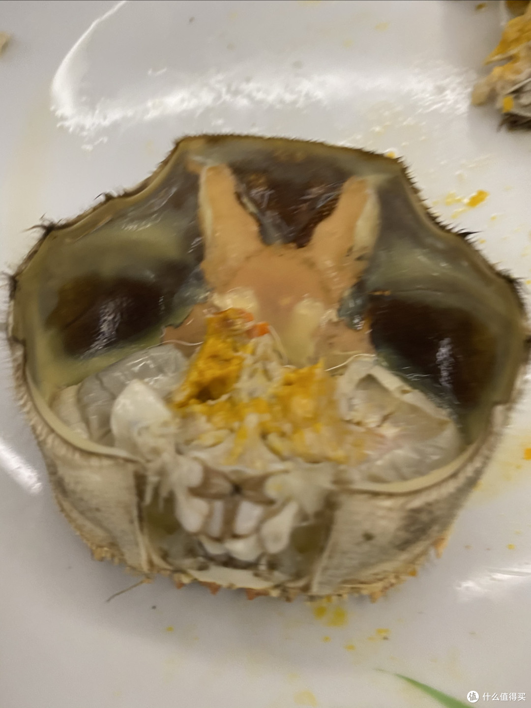 金秋十月,大闸蟹肥美上市