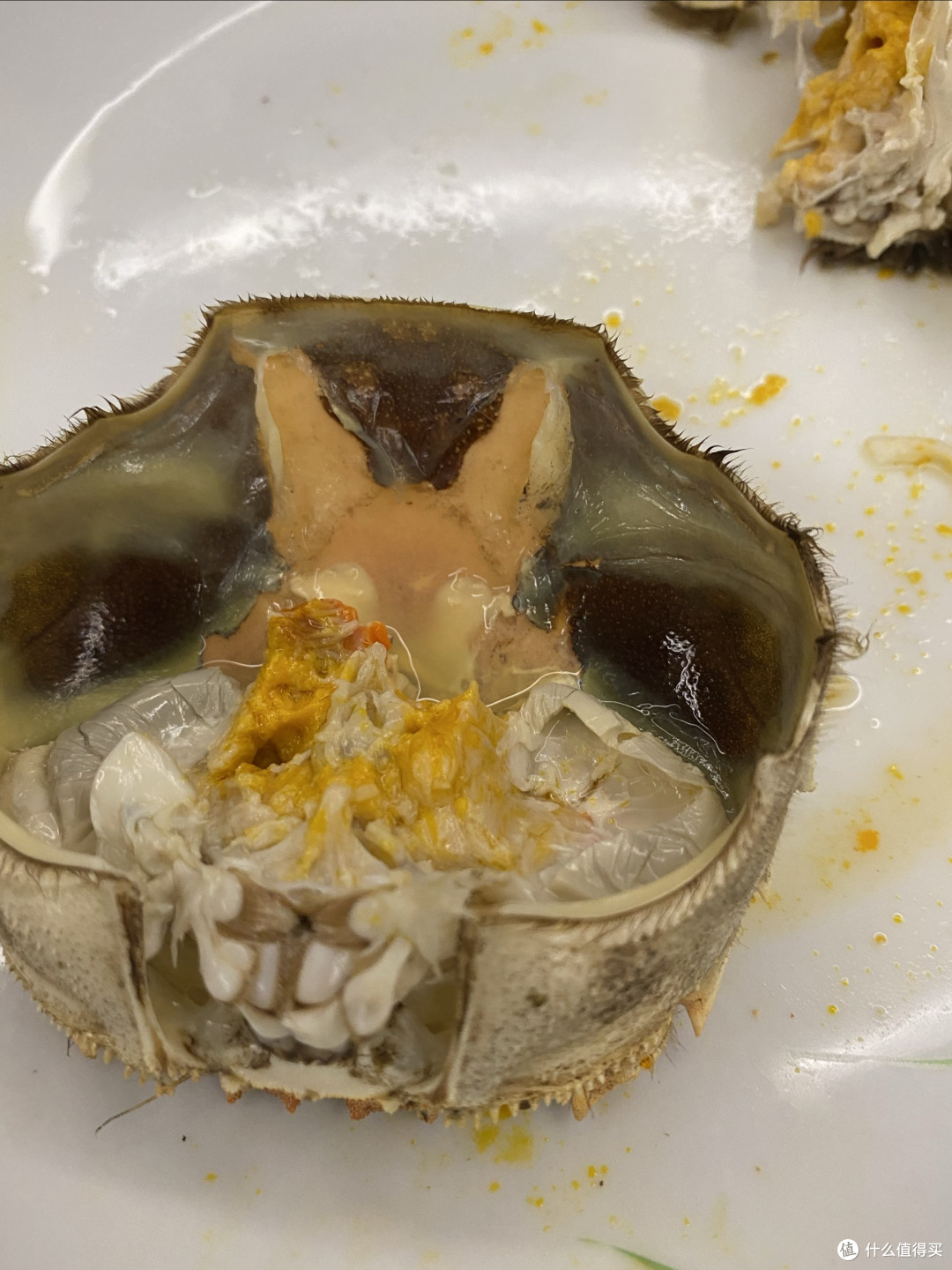 金秋十月,大闸蟹肥美上市