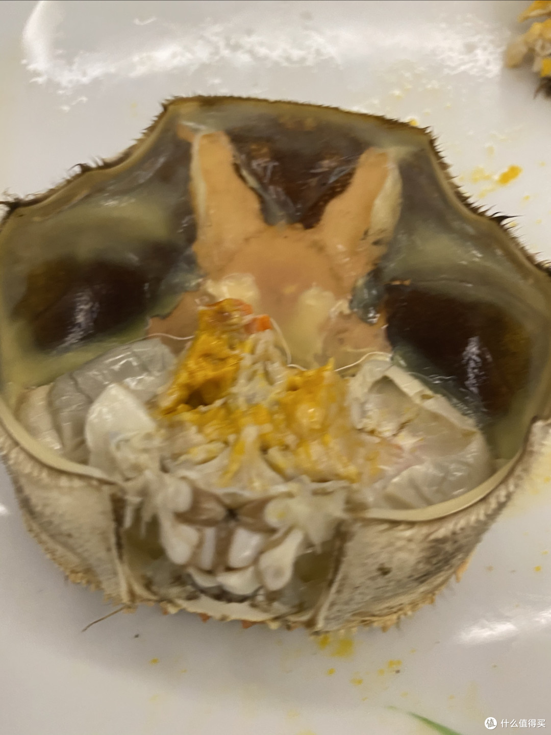 金秋十月，大闸蟹肥美上市