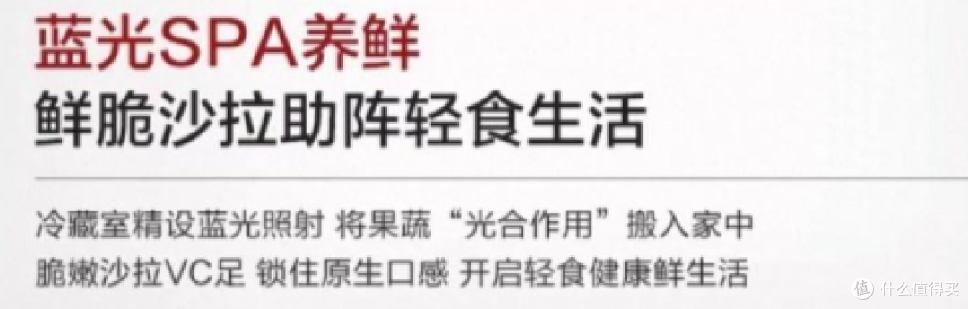 2025冰箱入门:又到双11,如何选保鲜、除菌、颜值都在线的冰箱?