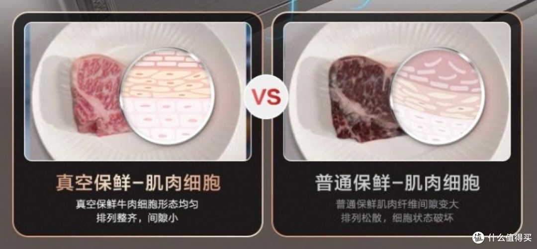 2025冰箱入门:又到双11,如何选保鲜、除菌、颜值都在线的冰箱?