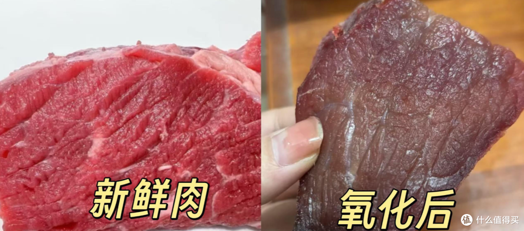 2025冰箱入门:又到双11,如何选保鲜、除菌、颜值都在线的冰箱?