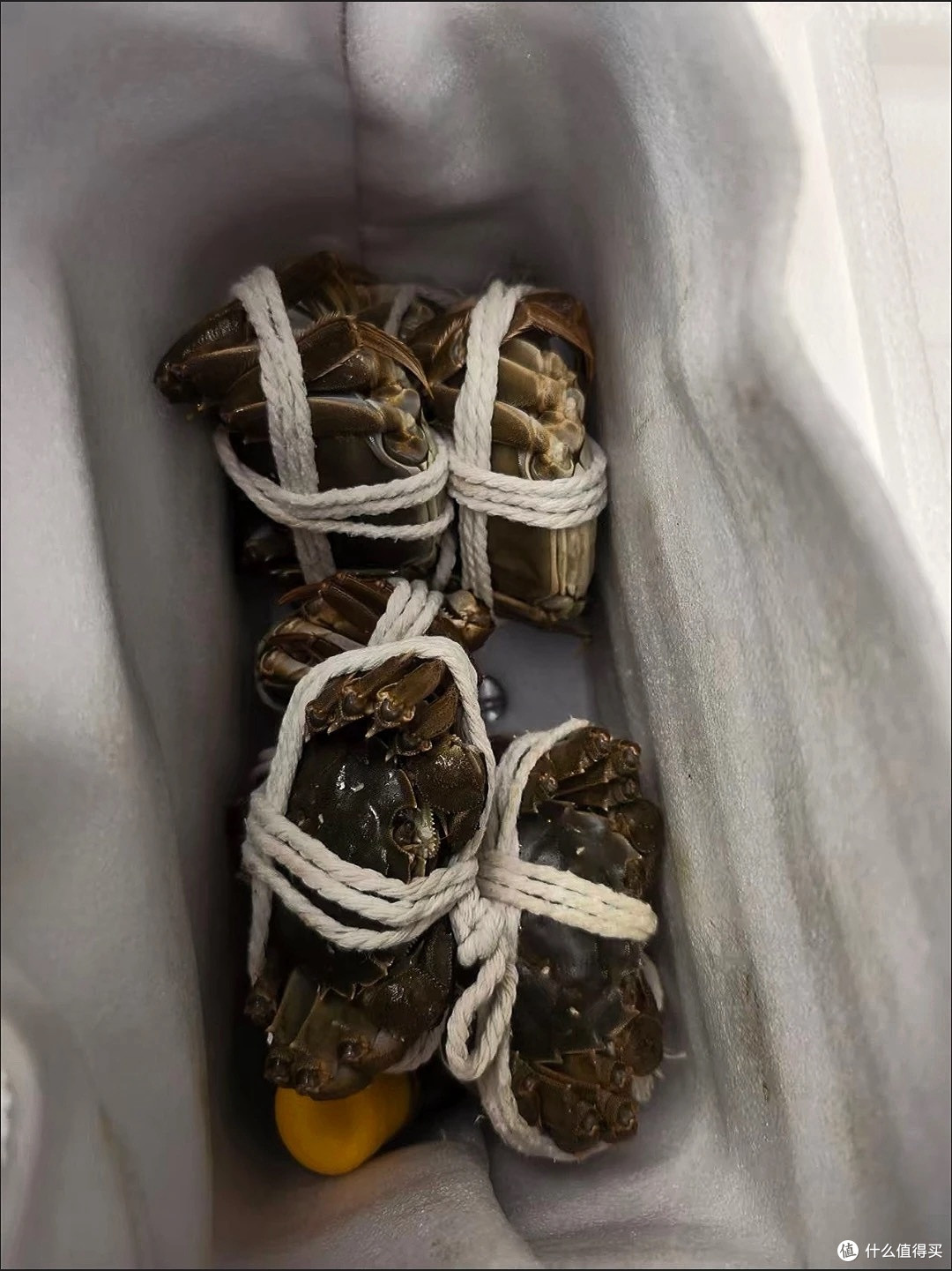 开湖抢鲜！今旺鲜活大闸蟹礼盒，足斤足两的秋鲜太顶了