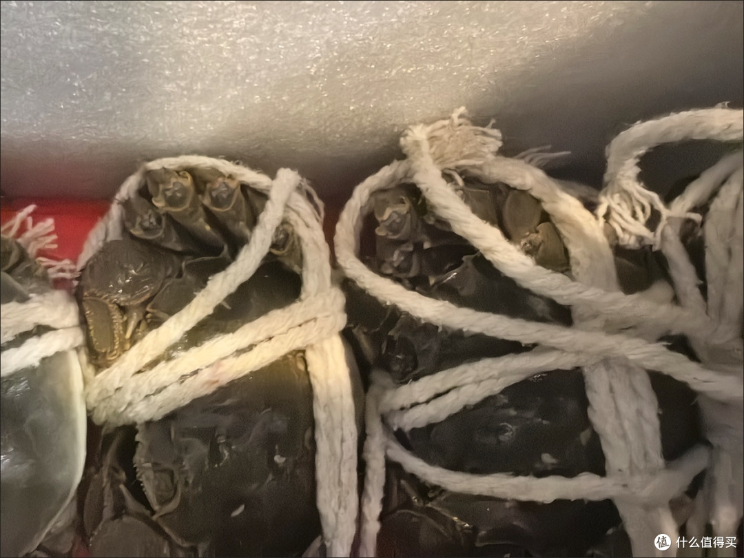 开湖抢鲜！今旺鲜活大闸蟹礼盒，足斤足两的秋鲜太顶了