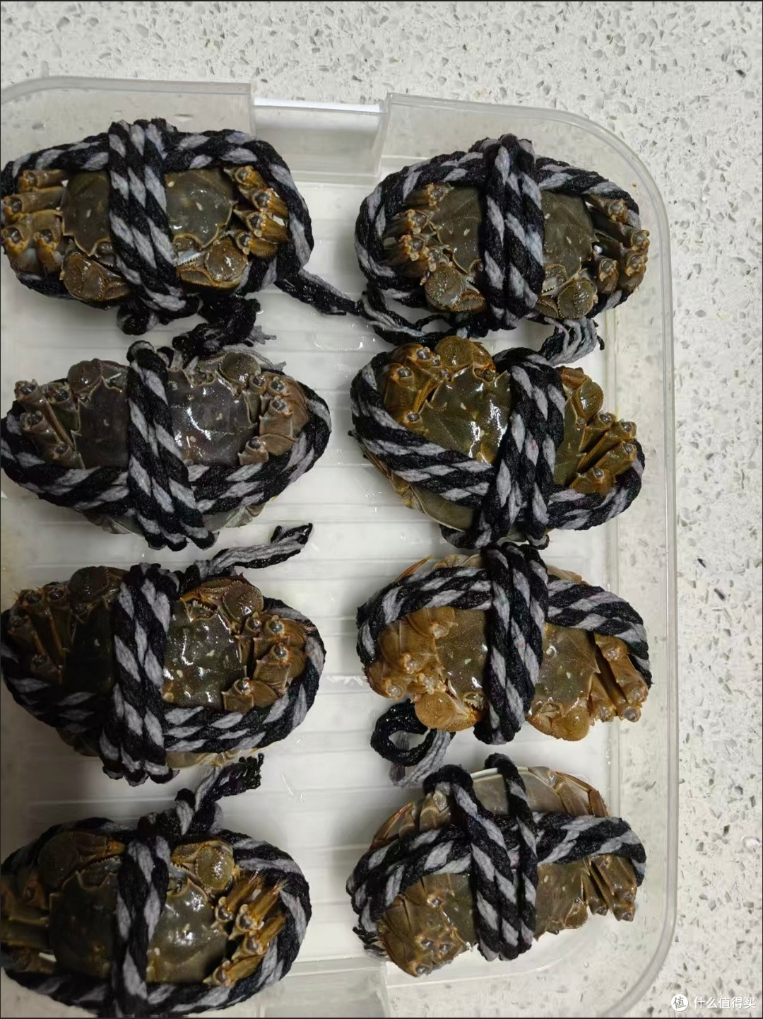 开湖季的惊喜！固城湖大闸蟹礼盒，鲜活直达的秋日盛宴
